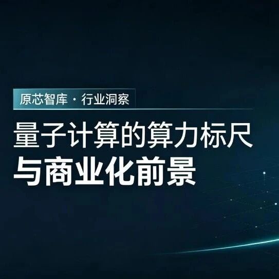 原子芯光行业洞察